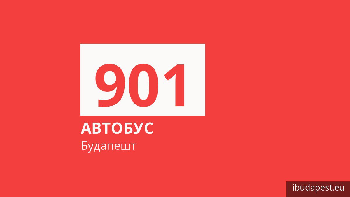 Ночной автобус 901 в Будапеште